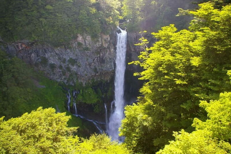Tokyo: Nikko Private Sightseeing Day Trip with Driver - Who Should Consider This Tour?
