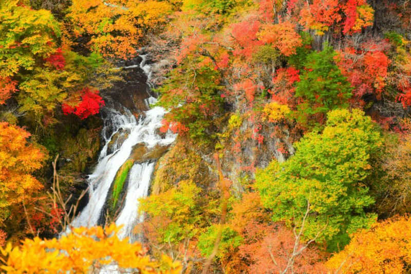Tokyo: Nikko Private Sightseeing Day Trip with Driver - Frequently Asked Questions