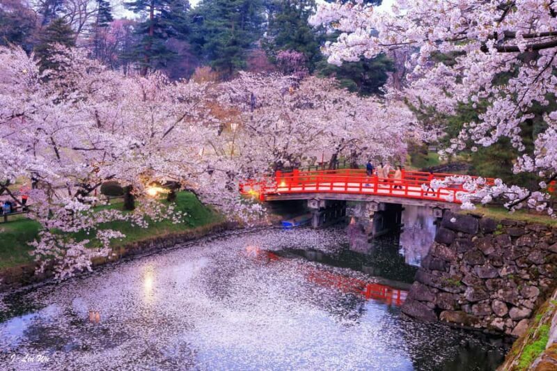 Tokyo: Nikko Shrines, Waterfalls & Scenic Day Trip - Who Will Love This Tour?