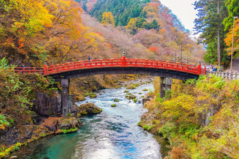 Tokyo Nikko Toshogu Shrine Iroha-zaka Lake Chuzenji Day Tour - Irohazaka Mountain Road