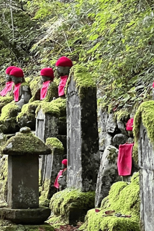 Tokyo: Nikko Unesco World Heritage Private Day Tour & Pickup - Transportation and Accessibility