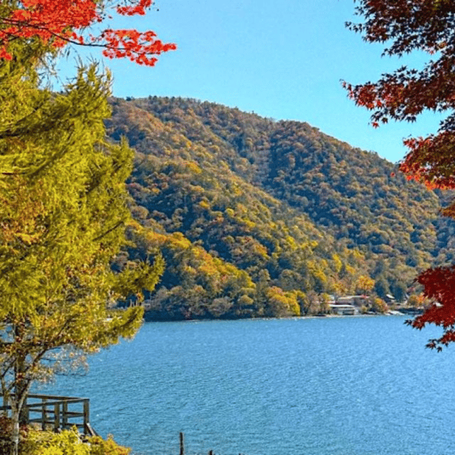 Tokyo: Nikko Unesco World Heritage Unmissable Private Tour - Discovering the Toshogu Shrine
