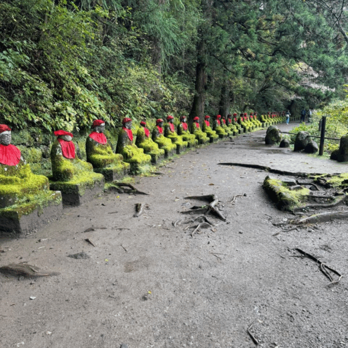 Tokyo: Nikko Unesco World Heritage Unmissable Private Tour - Inclusions, Customization, and Accessibility