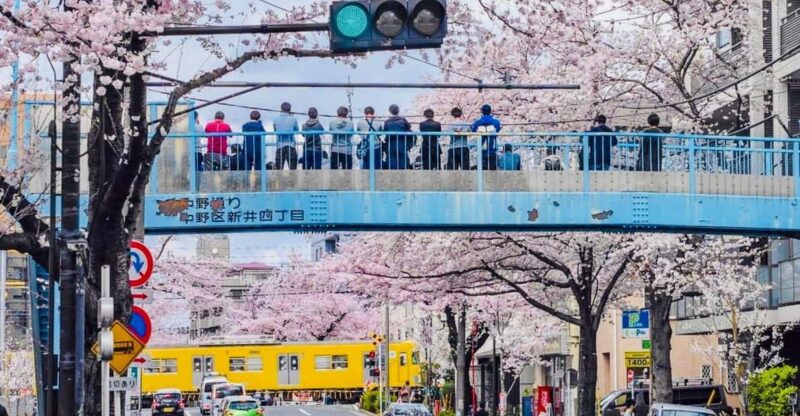 Tokyo: Nikko World Heritage Private Day Trip With Pickup - Key Points