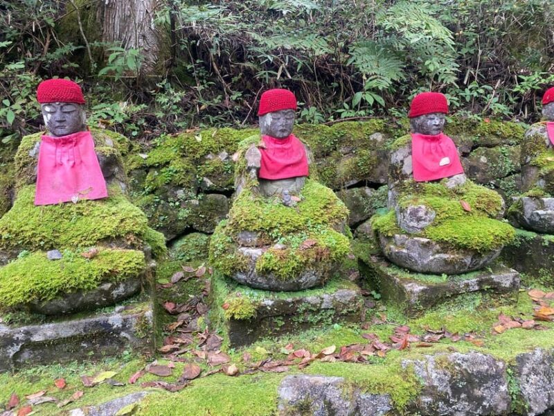 Tokyo: Nikko World Heritage Private Tour By English Guide - Nikko National Park Highlights