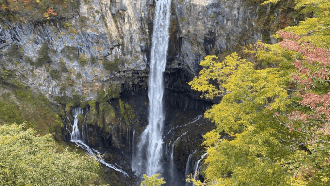 Tokyo: Nikko World Heritage Private Tour By English Guide - Private Transportation Amenities