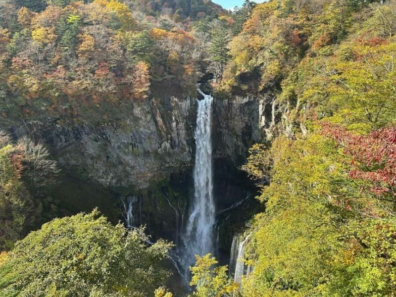 Tokyo Nikko:Private Customizable Day Trip (English Driver) - What Makes This Tour Stand Out