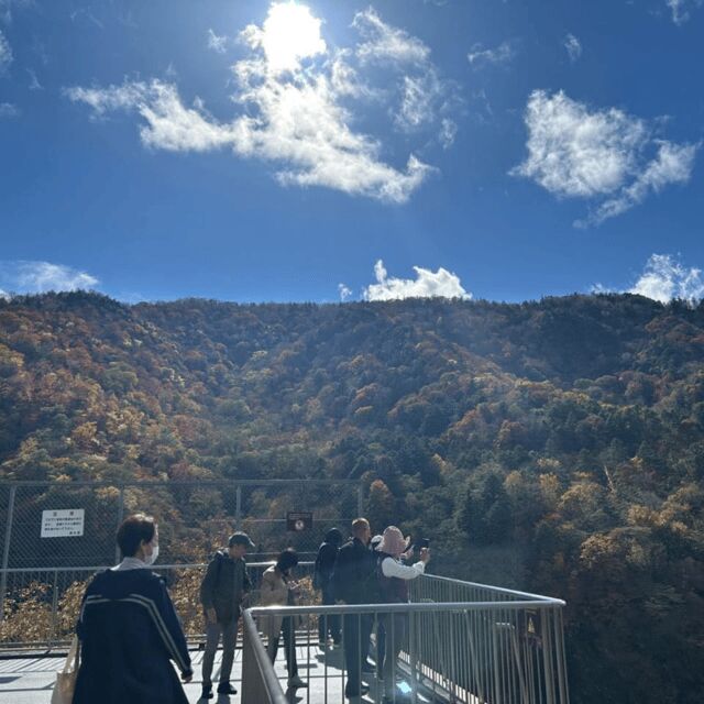 Tokyo Nikko:Private Customizable Day Trip (English Driver) - The Sum Up: Who Will Love This Tour?