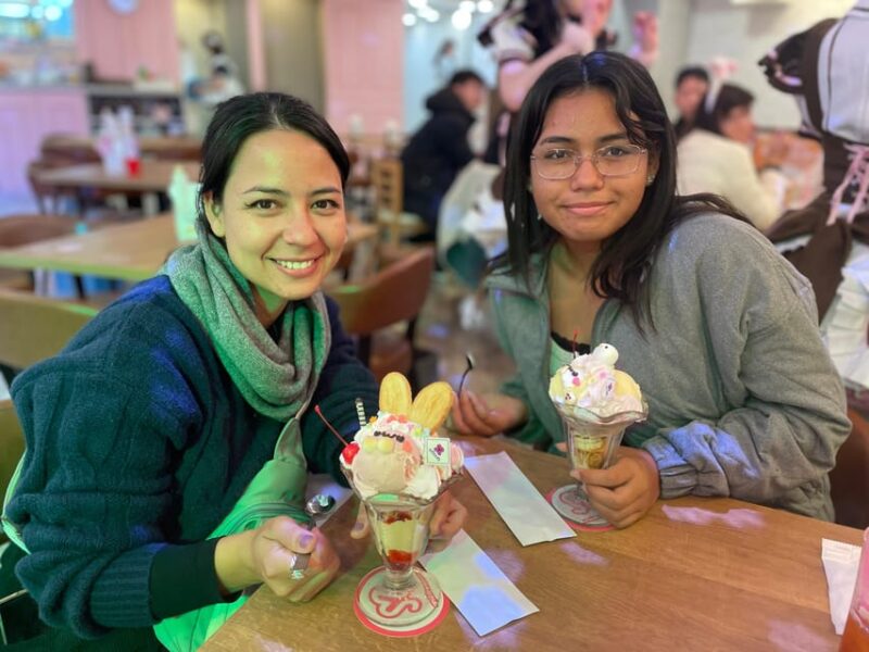 Tokyo: Nostalgic Anime and Retro Gaming in Akihabara - Experiencing the Enchantment of Maid Cafes