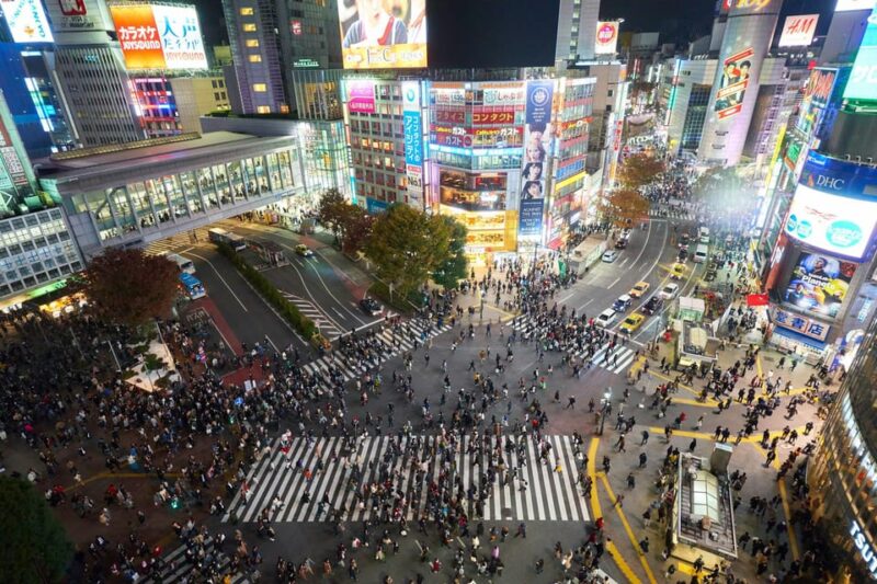 Tokyo: One Day Private Tour With English Guide - FAQ