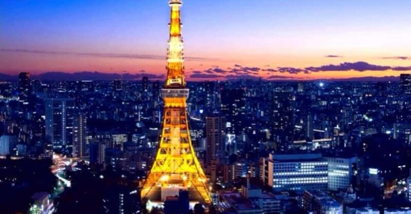 Tokyo One Day Private Tour With English Speaking Driver - Key Points