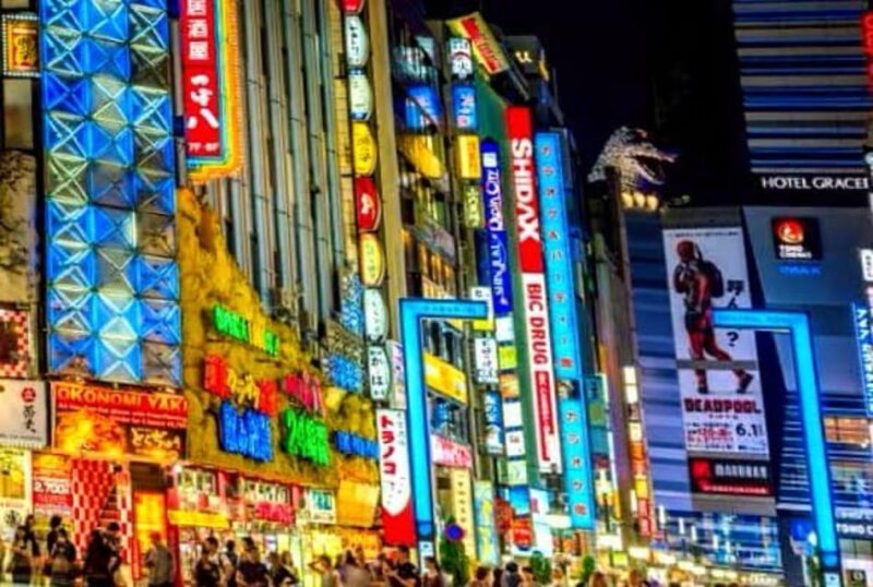 Tokyo One Day Private Tour With English Speaking Driver - Recommended Items to Bring