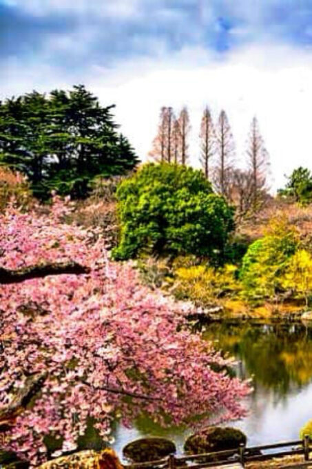 Tokyo One Day Private Tour With English Speaking Driver - FAQ