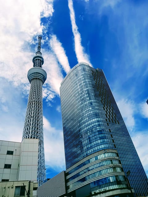 Tokyo One Day Private Tour With English Speaking Driver - Itinerary Options