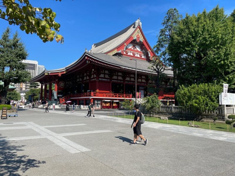 Tokyo One Day Private Tour With English Speaking Driver - Inclusions