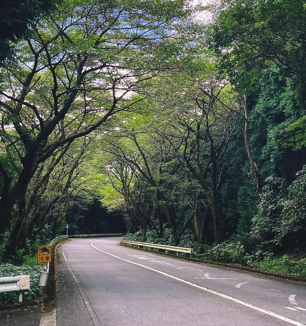 Tokyo: Onsen, Arts, and Nature Day Trip to Fuji and Hakone - Detailed Itinerary