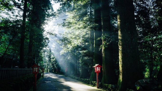 Tokyo: Onsen, Arts, and Nature Day Trip to Fuji and Hakone - Frequently Asked Questions