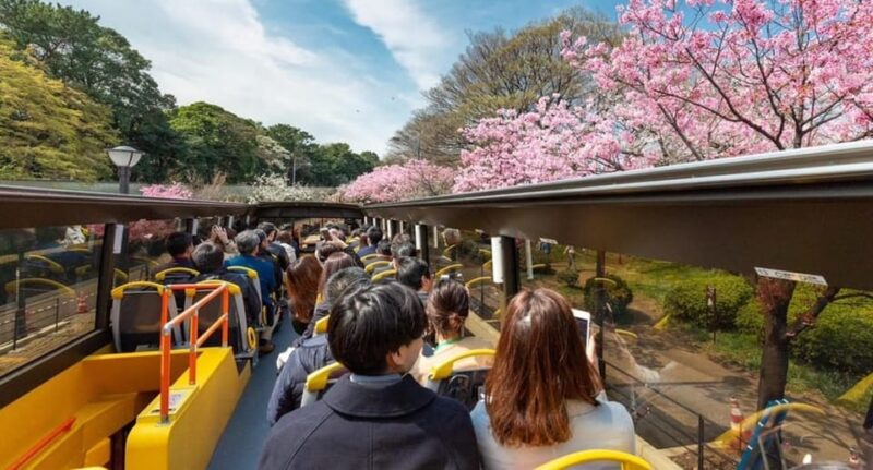 Tokyo: Open Top Sightseeing Bus With Audio Guide - Bay Course