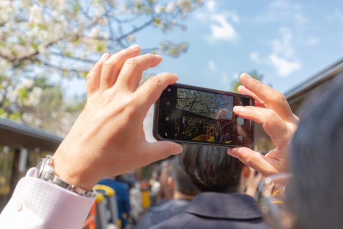 Tokyo: Open Top Sightseeing Bus With Audio Guide - Booking and Pricing