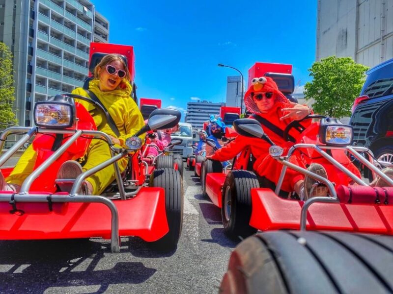 Tokyo: Original Street Kart Experience From Tokyo Bay - Inclusions and Restrictions