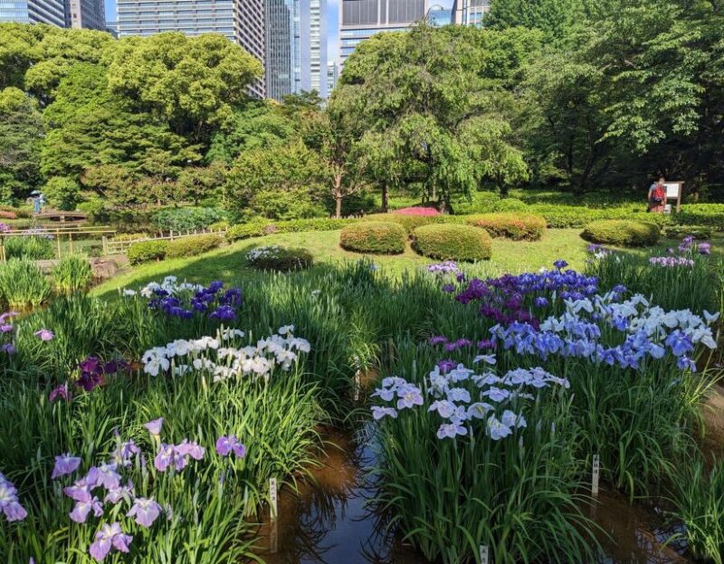 Tokyo: Personalized Full-day Tour - Key Points