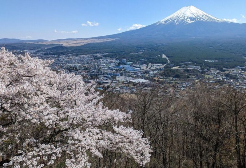 Tokyo: Personalized Full-day Tour - Experiencing Vibrant Shibuya Crossing