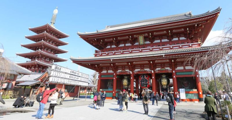 Tokyo: Private City Highlights Tour With Local Guide - Key Points