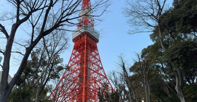 Tokyo Private City Tour With Hotel Pickup and Drop-Off - Key Points