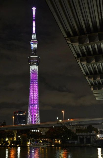 Tokyo Private City Tour With Hotel Pickup and Drop-Off - Discover Top Attractions