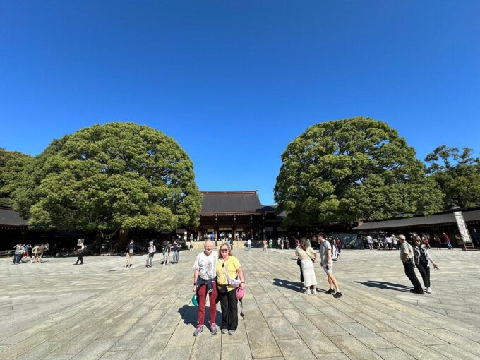 Tokyo Private Custom Car Tour With A Guide (Car Tour) - Discover Hidden Gems and Local Culture
