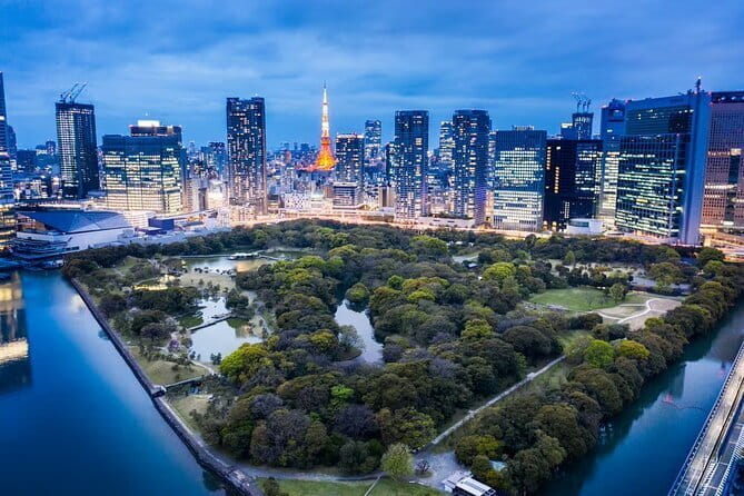 Tokyo Private Custom Day Tour With English Speaking Chauffeur - Accessibility and Requirements
