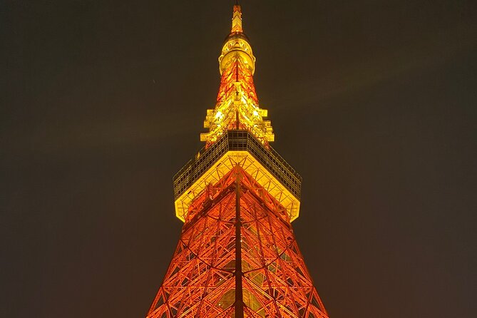 Tokyo Private Custom Day Tour With English Speaking Chauffeur - Confirmation and Accessibility