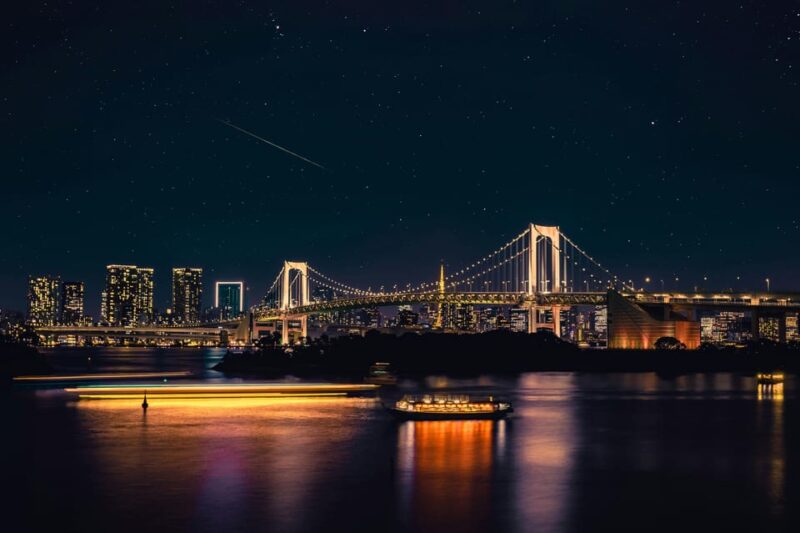 Tokyo: Private Customizable City Tour With Chauffeur - Driver and Tour Experience
