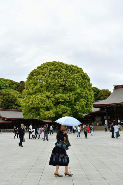 Tokyo: Private Customizable City Tour With Chauffeur - Exploring Shibuya Crossing