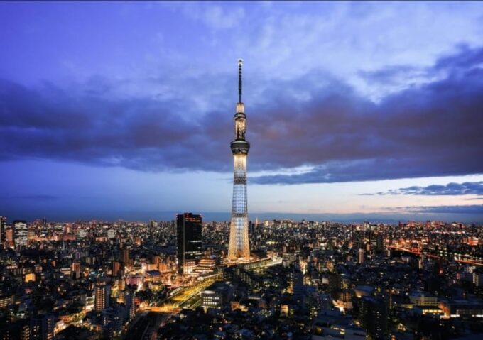 Tokyo: Private Customizable Day Tour With Chauffeur - Pricing and Availability