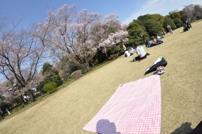 Tokyo: Private Cycling Tour With Cute E-Bike - Private Group Tour Experience
