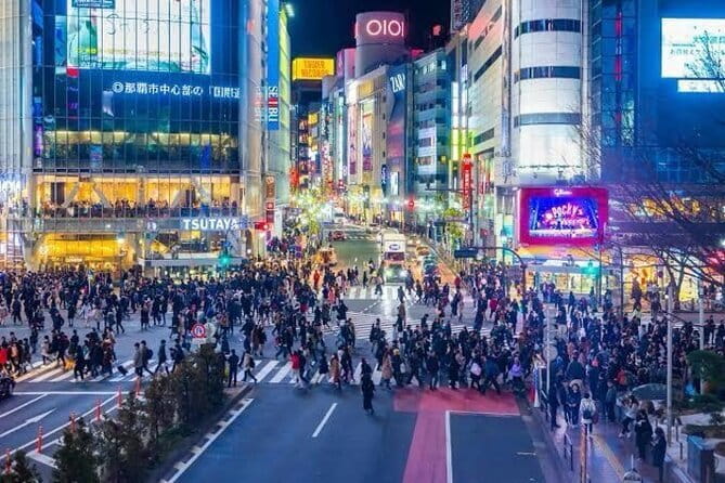 Tokyo Private Day Tour by Car With English Speaking Driver Guide - Key Points