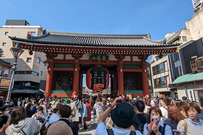 Tokyo Private Day Tour by Car With English Speaking Driver Guide - Accessibility and Participation