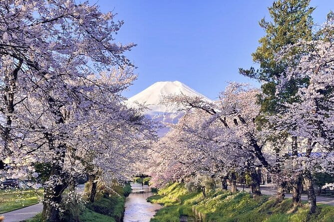 Tokyo Private Day Tour by Car With English Speaking Driver Guide - Tour Itinerary