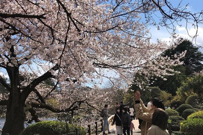 Tokyo Private Day Tour by Car With English Speaking Driver Guide - Meeting and Pickup Details