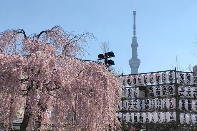 Tokyo Private Day Tour by Car With English Speaking Driver Guide - Accessibility and Additional Information