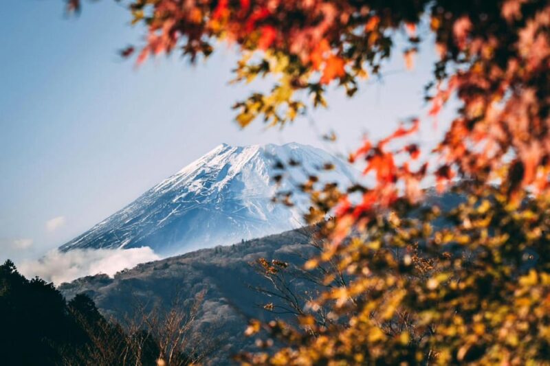 Tokyo: Private Day Trip to Mount Fuji and Hakone - Itinerary Highlights