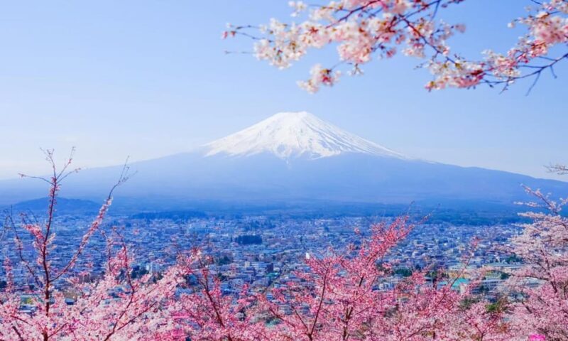 Tokyo: Private Day Trip to Mount Fuji and Hakone - Inclusions and Exclusions