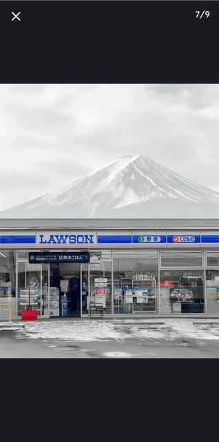 Tokyo: Private Day Trip to Mount Fuji and Hakone - Important Information for Participants