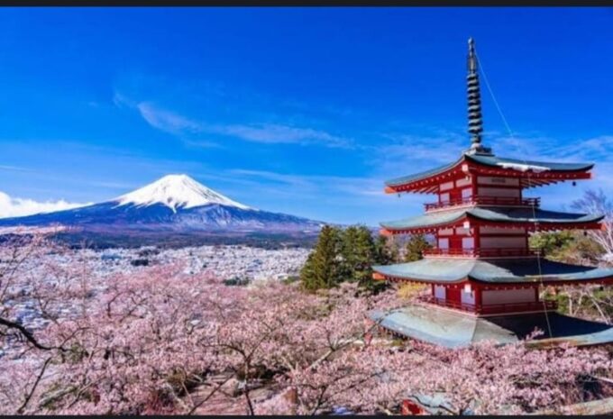 Tokyo: Private Day Trip to Mount Fuji and Hakone - Exploring Oshino Hakkai and Lake Kawaguchi