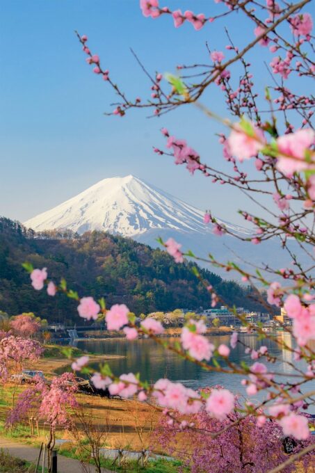 Tokyo: Private Day Trip to Mount Fuji and Hakone - FAQ