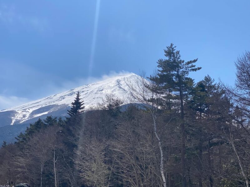 Tokyo: Private Day Trip to Mt. Fuji With Custom Itinerary - Inclusions and Exclusions