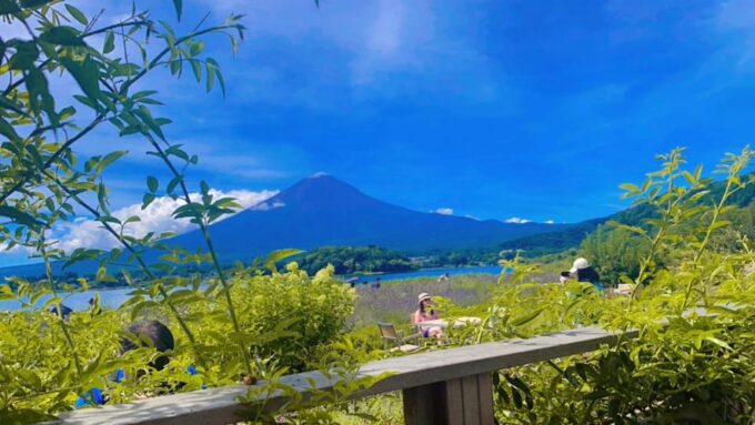 Tokyo: Private Day Trip to Mt. Fuji With Custom Itinerary - Restrictions and Considerations