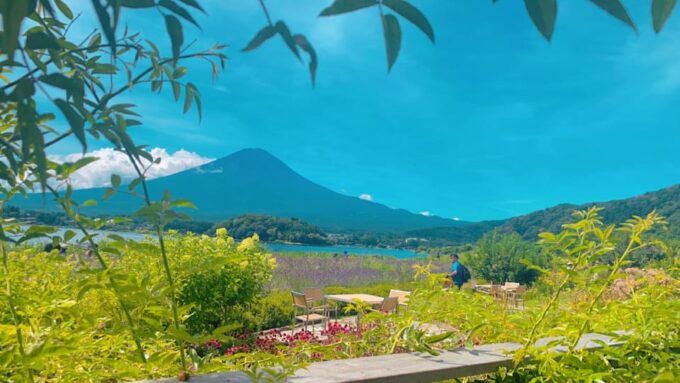 Tokyo: Private Day Trip to Mt. Fuji With Custom Itinerary - Booking and Inquiries