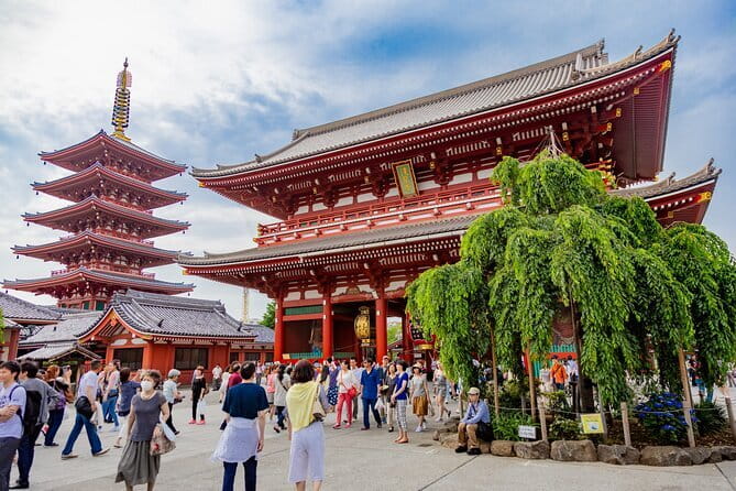 Tokyo Private Driving Tour by Car/Van - English Speaking Driver - Key Points